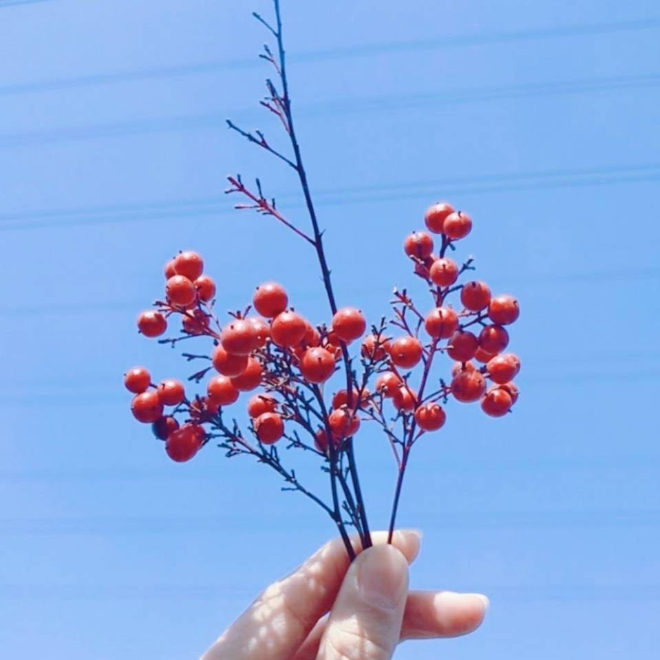 ӋCڹW߀W?WWʲô^e?ӋCЩI